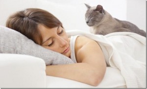 Conoce cómo es tu personalidad según dónde duerme tu mascota
