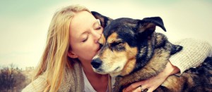 ¿Tu perro entiende lo que le dices?