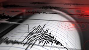 Decretan alerta de tsunami para la región de Magallanes tras sismo de 7,8 al sur de Puerto Williams: las horas en las que el tren de olas llegaría a las costas chilenas