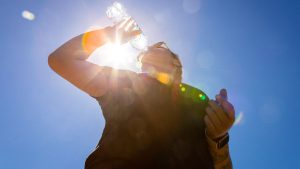 Ola de calor: Estos son los alimentos que más hidratan y que tu cuerpo agradecerá
