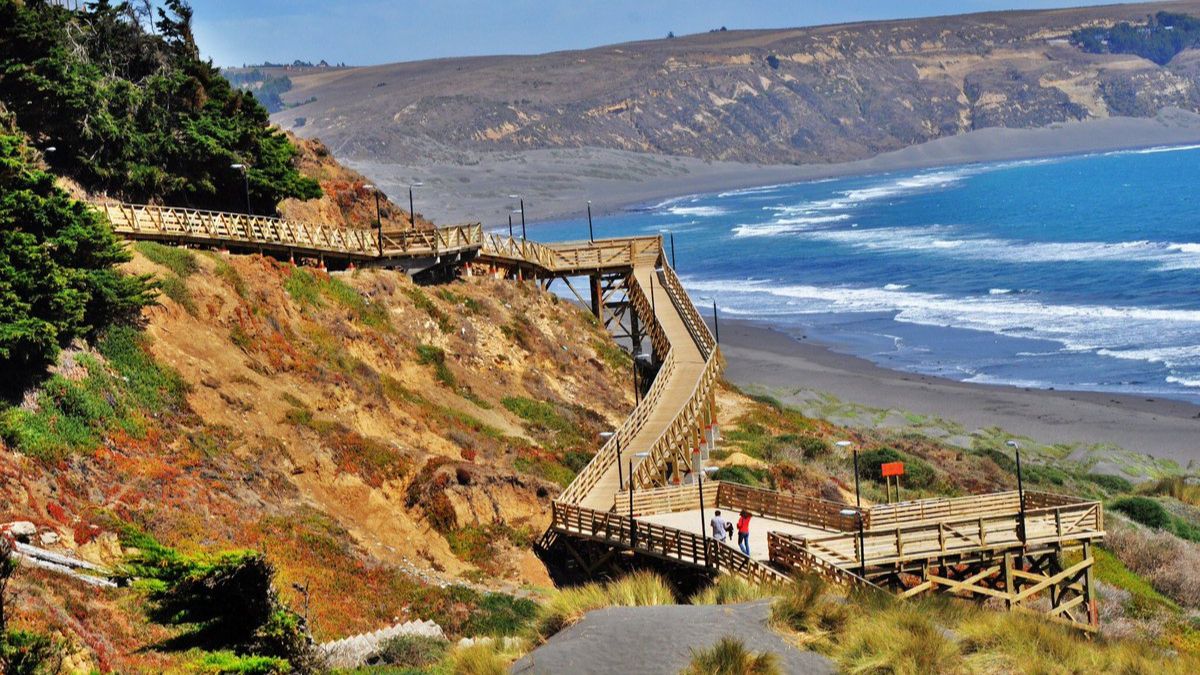 Entre aves, surf y rincones naturales: Así es la increíble playa del sur de Chile que debes visitar