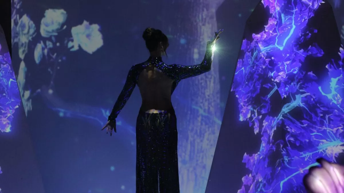 Gala de Viña 2025: Cómo obtener entradas para el especial evento televisado donde desfilarán los famosos