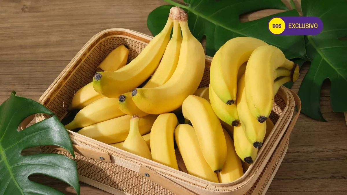 ¿Cuántos plátanos se recomienda comer al día?: Nutricionista se la juega con sorpresiva cifra
