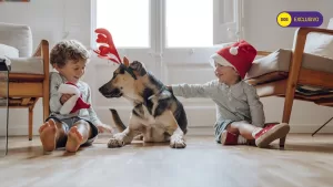 Cuentos Navideños de FMDOS: Así relatan los niños la magia de estas fiestas