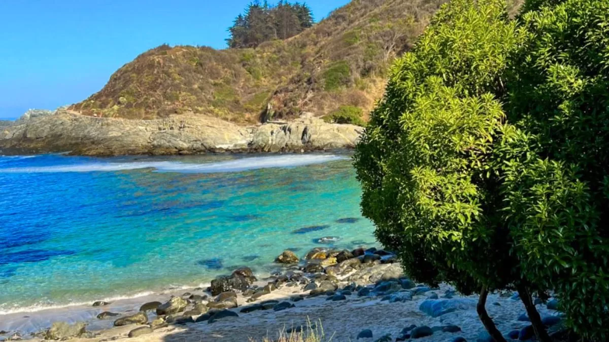 Playa Las Cujas (1)