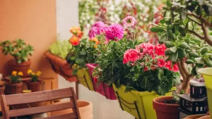 Esta es la planta resistente que florece todo el año en Chile y es pefecta para balcones pequeños, según FMDOS