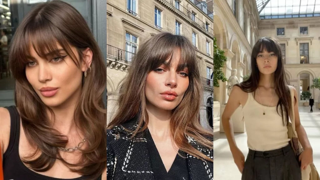 Flequillo Birkin