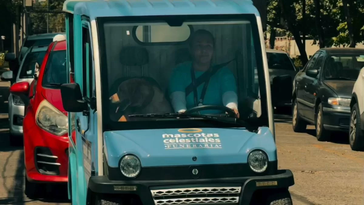 Funeraria "Mascotas Celestiales" en Chile: en qué consiste, cómo contratarlos y cuánto cuestan sus servicios