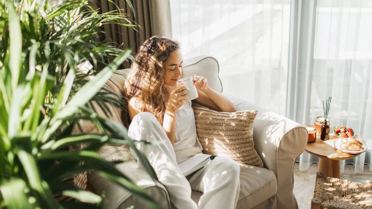Ni lavanda ni albahaca: esta es la planta de interior aromática que perfumará tu casa en Chile