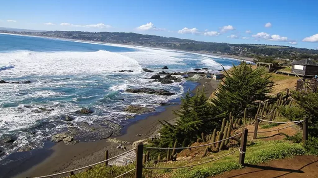 Punta De Lobos