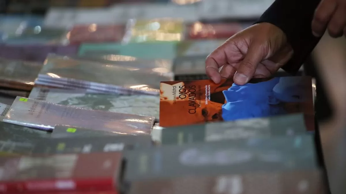 La Furia del Libro 2025: el imperdible panorama gratuito con música, sorpresas literarias y más en Estación Mapocho