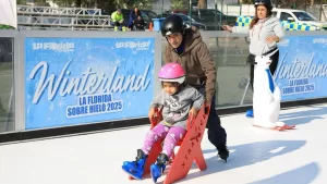 Panoramas GRATIS en vacaciones de invierno: desde pistas de hielo hasta una lluvia de libros